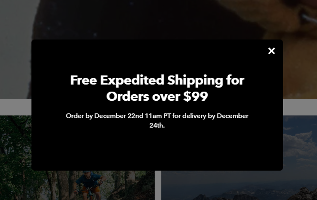 a banner with Christmas free shipping offers on the Patagonia website
