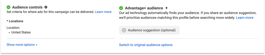 Audience controls and Audience suggestions for Meta Advantage+ Audiences