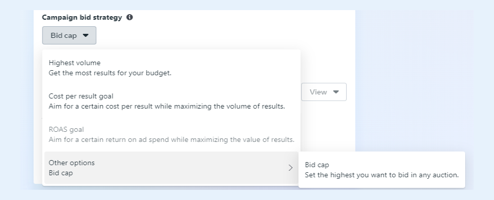 Selecting bid strategy for Meta ad campaigns 